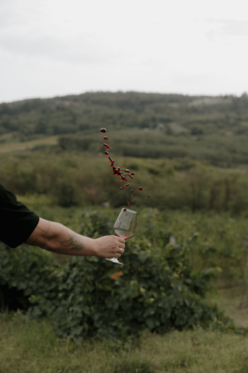 Sazü Syrah-Grenache
