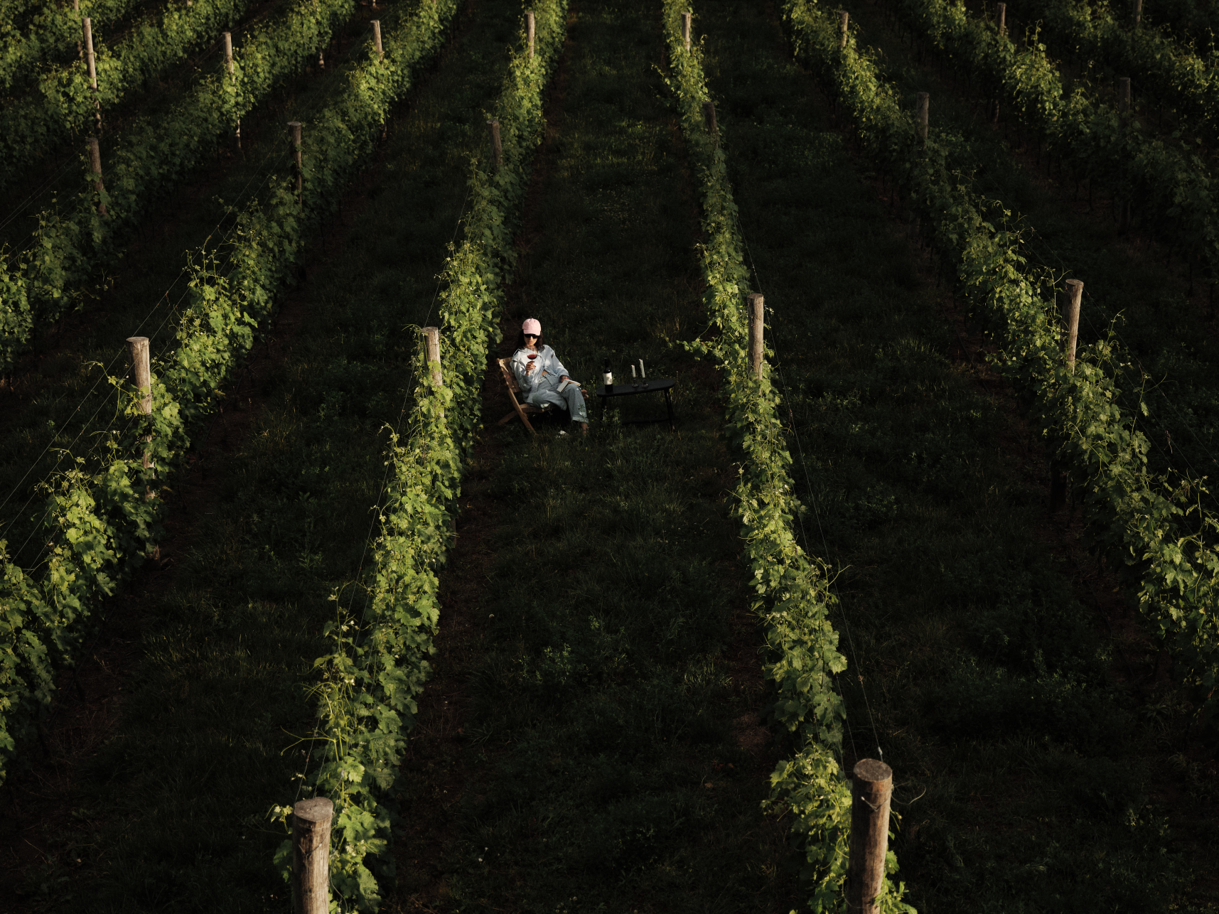 Syrah-Grenache-Merlot – fedezd fel a Káli-medence egyedi vörösborait, melyek karakteresek, tiszták és magabiztosan kifejezőek.