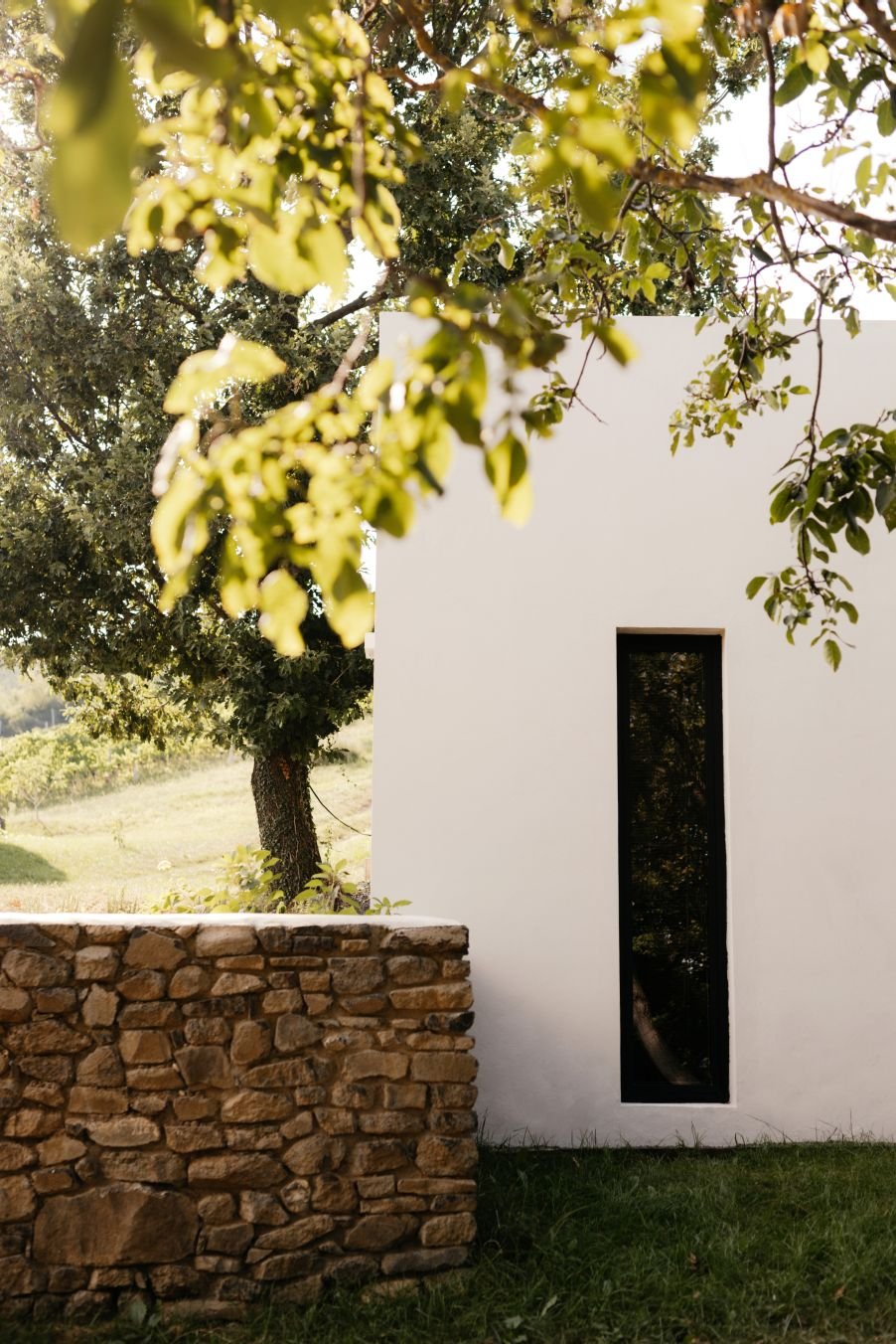Sazü Oak. Egy modern, fehér épület magas, keskeny fekete ablakkal, fákkal körülvéve, 30 m2-es tetőtéri terasszal.